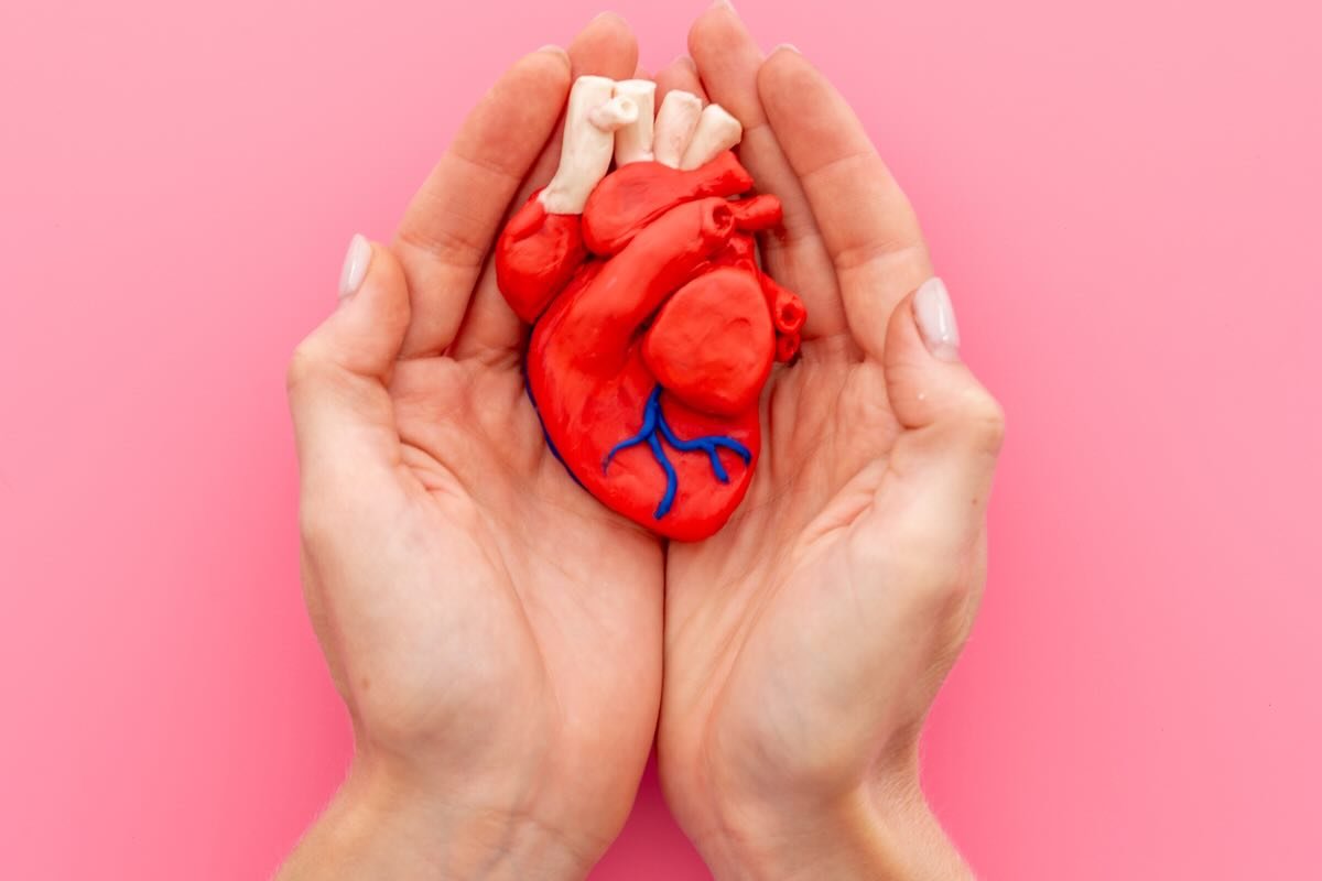 modellino di cuore nelle mani e sfondo rosa