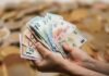 mani di persona con banconote in euro e sfondo di monete