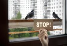 scritta stop e picconi sul balcone