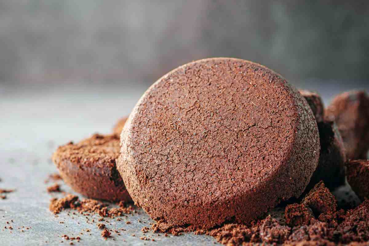 fondi di caffè