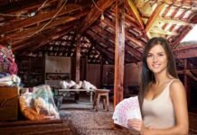 donna con banconote euro e sfondo di cantina disordinata con scatoloni