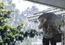 pioggia forte tetto di casa, albero, persona con ombrello sotto temporale