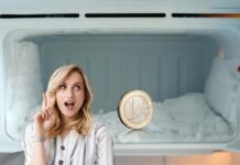 donna con idea e moneta nel congelatore