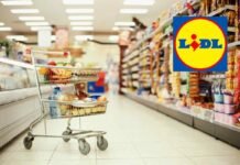 carrello della spesa al supermercato e logo lidl