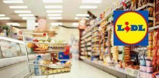 carrello della spesa al supermercato e logo lidl