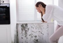 L’umidità in cucina mi faceva impazzire, ma con questo rimedio ho risolto subito: è geniale donna che vede muffa sotto la finestra