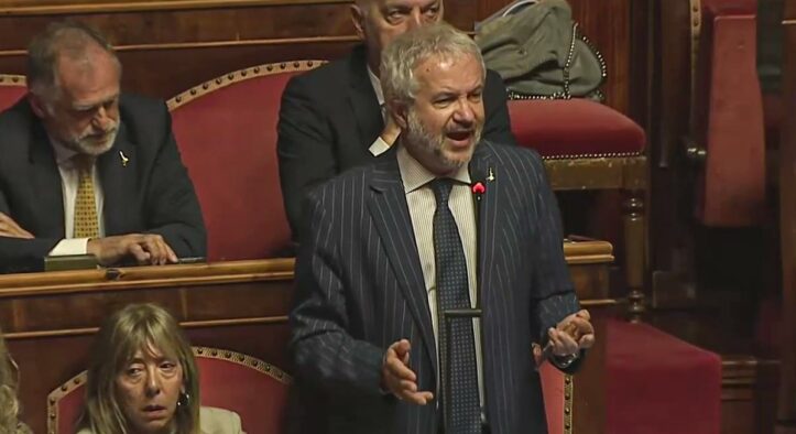 Borghi avverte in Senato ▷ “Occhio al vertice UE: durante le crisi, a Bruxelles si sfregano le mani”