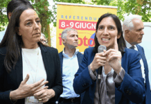 Schlein “ruggisce” VS Meloni sul referendum ma scivola sulla costituzione: “È sindrome da talk show”