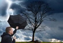 temporale, albero spoglio, uomo con ombrello