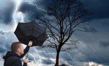 temporale, albero spoglio, uomo con ombrello