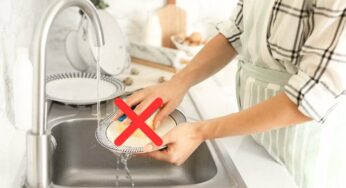 La spugnetta per piatti ha ormai le ore contate: ecco la nuova alternativa, pratica ed ecologica