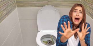 donna spaventata, wc con serpente, topo, rana