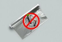 carta stagnola e divieto di formiche