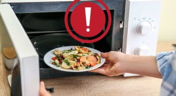 Hai sempre sbagliato a riscaldare il cibo nel microonde: solo se fai così sarà veramente caldo e buono da mangiare