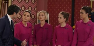 cast de il paradiso delle signore