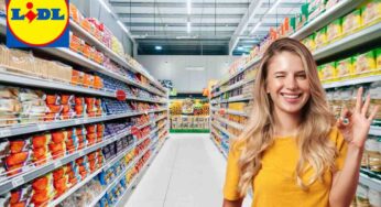 Ora costano meno di 3 euro da Lidl, così dici addio al caldo: freschi e unici!