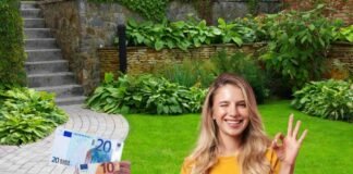 Ti svolta l’estate e rende il tuo giardino un incanto: è in offerta a poco più di 30 euro donna con maglia gialla, giardino e 30 euro