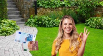 Ti svolta l’estate e rende il tuo giardino un incanto: è in offerta a poco più di 30 euro