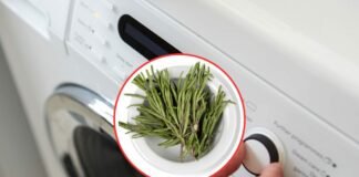 lavatrice e rosmarino