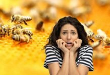 donna spaventata dalle api