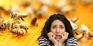 donna spaventata dalle api