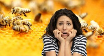 5 tips+1 per allontanare le api da casa in modo del tutto naturale: funzionano subito