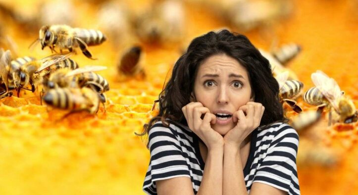 5 tips+1 per allontanare le api da casa in modo del tutto naturale: funzionano subito