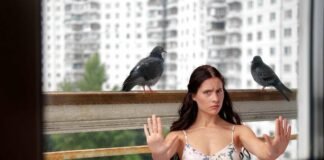donna che dice stop ai piccioni sul balcone