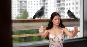 Non servono prodotti specifici, io per eliminare i piccioni dal balcone uso questi rimedi: sono 100% naturali