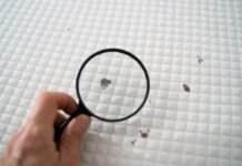 Ho trovato il materasso della casa al mare tutto macchiato ma non l’ho sostituito: questo trucco me l’ha fatto tornare nuovo lente che inquadra una macchia sul materasso