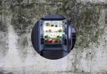 Hai trovato della muffa dietro il frigo? Ecco cosa fare per non farla più formare muffa e frigorifero
