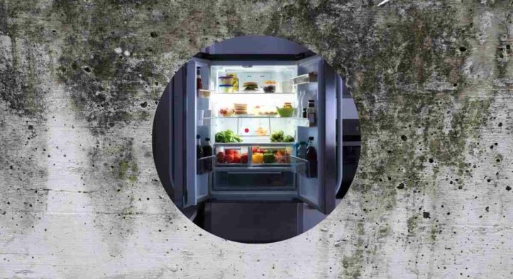Hai trovato della muffa dietro il frigo? Ecco cosa fare per non farla più formare