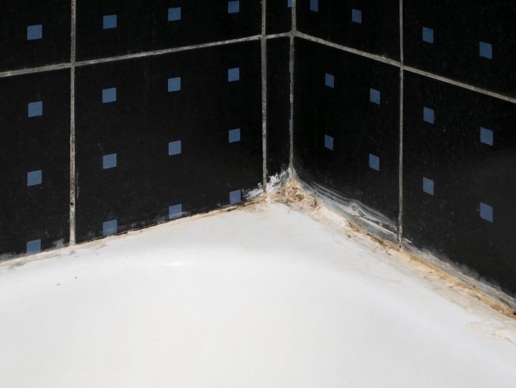 muffa negli angoli della vasca da bagno