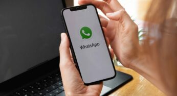 La psicologia parla chiaro, ecco cosa vuol dire se condividi ogni giorno uno stato su WhatsApp