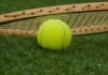 pallina tennis