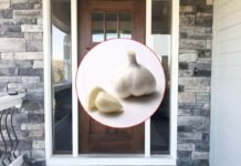 Ti svelo il motivo per cui dovresti usare dell’aglio sulla porta: il trucco è geniale porta d'ingresso e aglio
