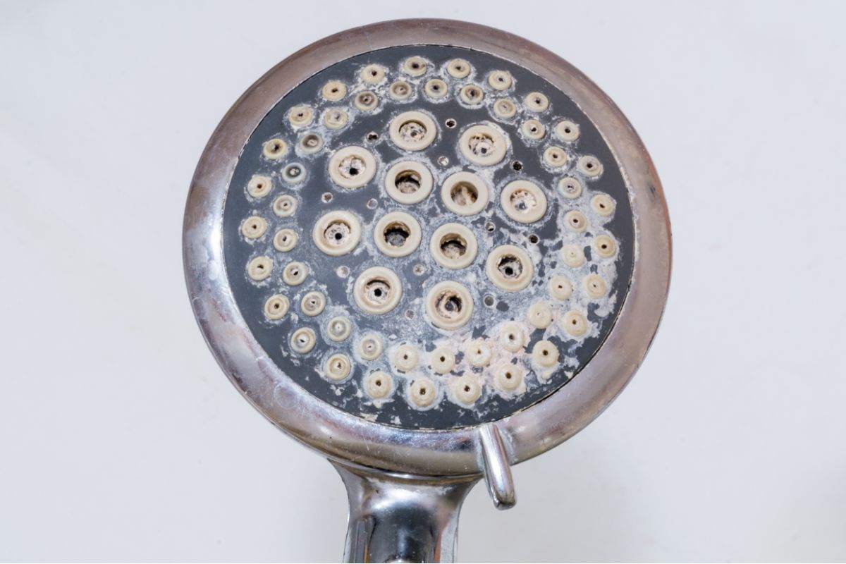 soffione della doccia con calcare