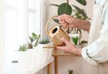 Ora che parto per le vacanze chi si prenderà cura delle piante? Con il trucco del sacchetto non avrai bisogno di nulla donna che innaffia piantine