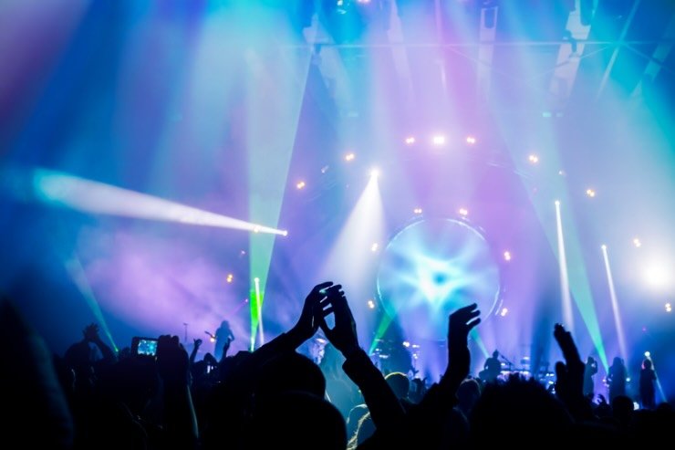 persone ad un concerto 