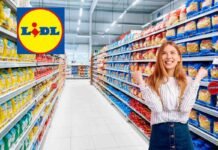 Motore da 1500 W e 3 anni di garanzia: Lidl mette in vendita un oggetto universale supermercato, donna felice, logo lidl