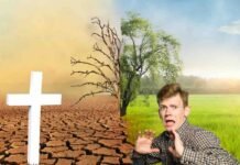 Allarme clima, attenzione a questi sintomi: possono causare la morte metà albero secco, metà albero rigoglioso, croce e uomo spaventato