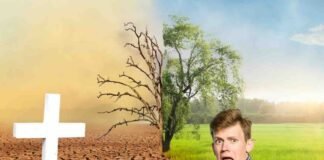 metà albero secco, metà albero rigoglioso, croce e uomo spaventato