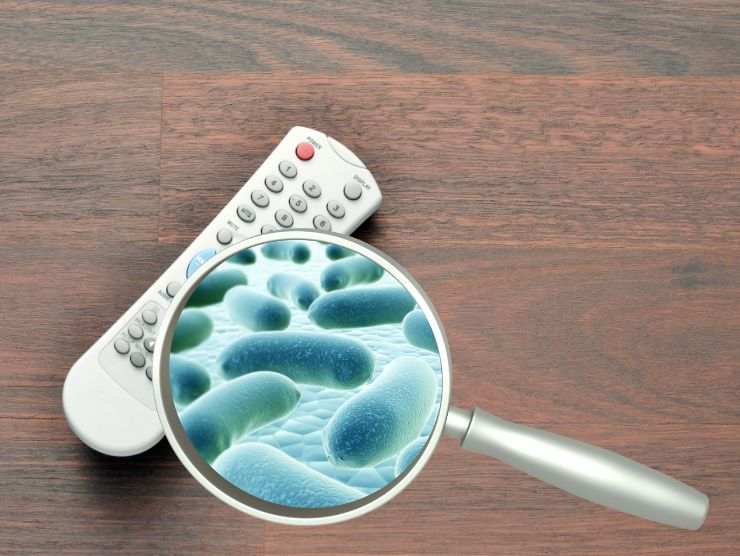 telecomando con germi visto da una lente d'ingrandimento