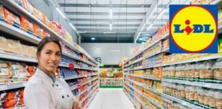 supermercato, logo lidl, donna chef