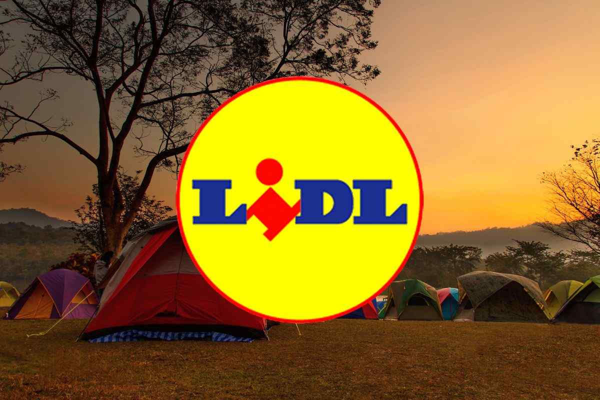 logo lidl e paesaggio con tenda per campeggio