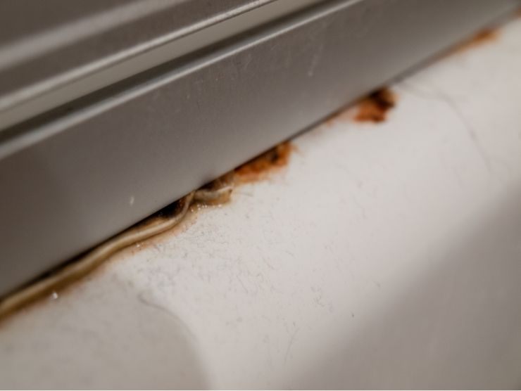 guarnizione della doccia sporca