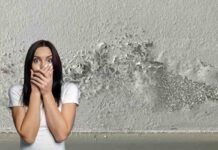 Addio all’umidità dentro casa con un trucco geniale: ti costa appena 1 euro umidità sul muro donna spaventata