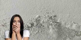 umidità sul muro donna spaventata