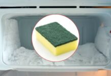 congelatore e spugna