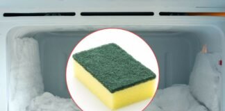 congelatore e spugna